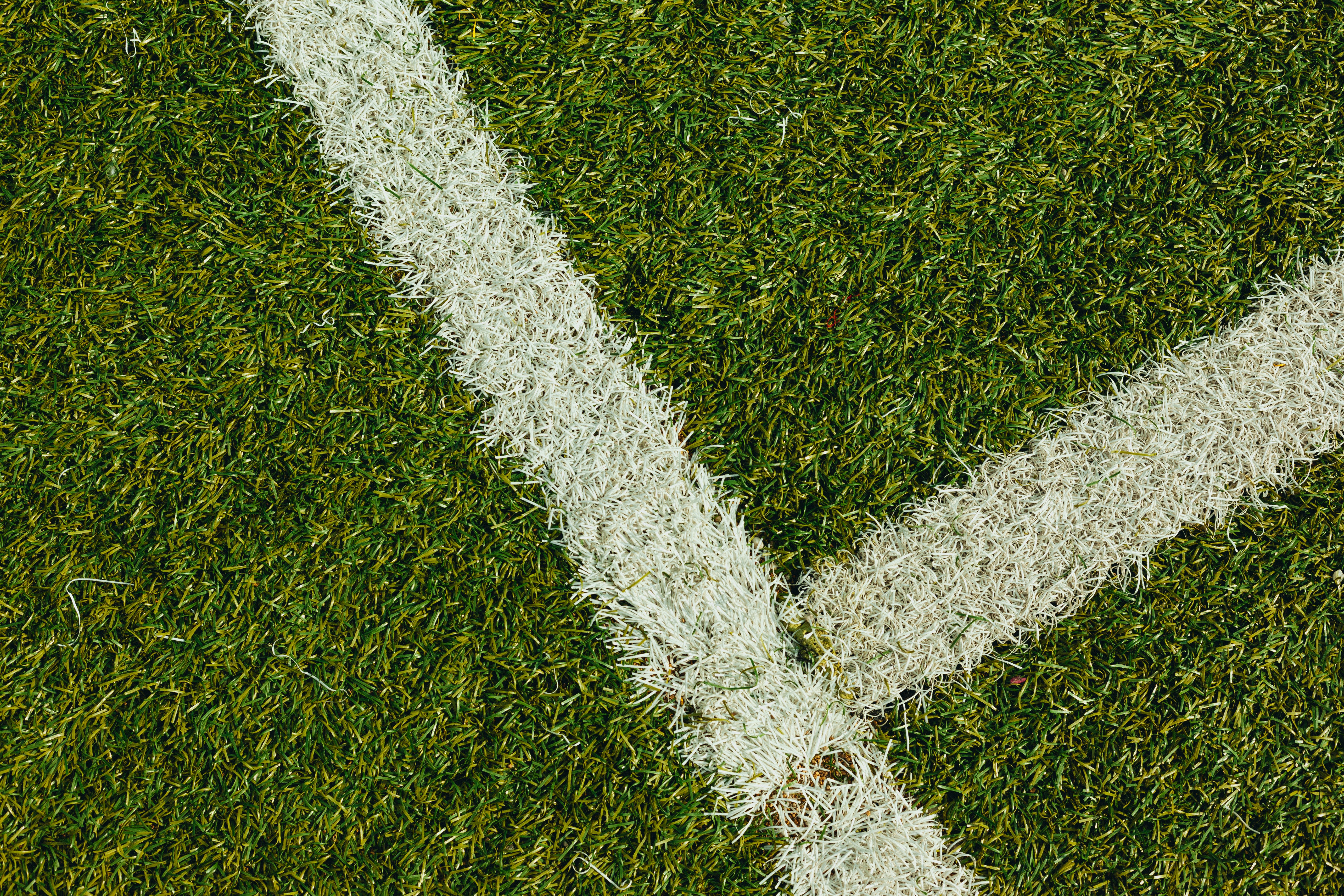 green grass field with white paint